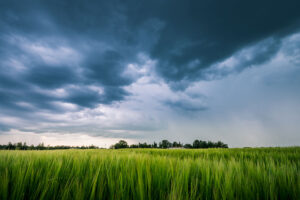 Weather
