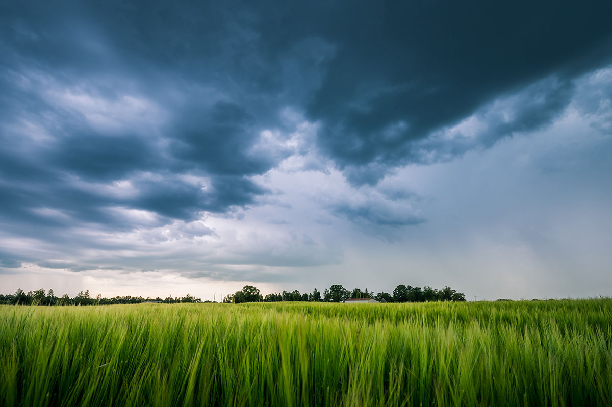 Weather